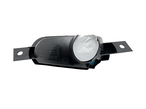 BSSTORE® Gruppo Ottico Freccia Anteriore Compatibile Con Sm4rt ForTwo e ForFour 2014 In Poi