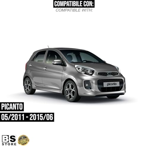 BSSTORE Gruppo Ottico Freccia Laterale Compatibile Con PICANTO 2011-2015