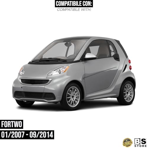 BSSTORE Gruppo Ottico Freccia Laterale Fumè Compatibile Con Fortwo 2007-2014