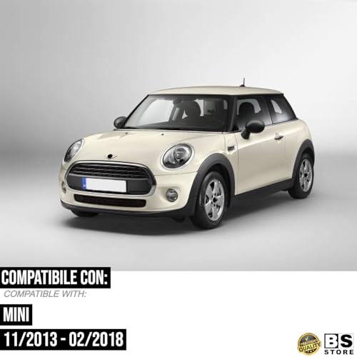 BSSTORE Gruppo Ottico Freccia Laterale Compatibile Con MINI 2013-2018