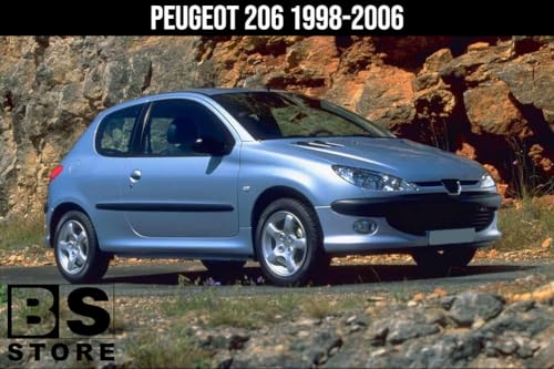 BSSTORE® Piastra Vetro Specchio Retrovisore Compatibile Con 206 1998-2006/206 Plus 2009-