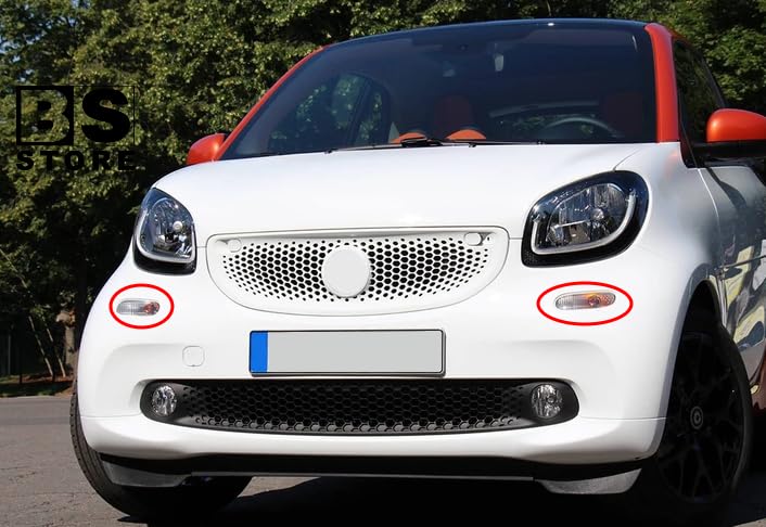 BSSTORE® Gruppo Ottico Freccia Anteriore Compatibile Con Sm4rt ForTwo e ForFour 2014 In Poi