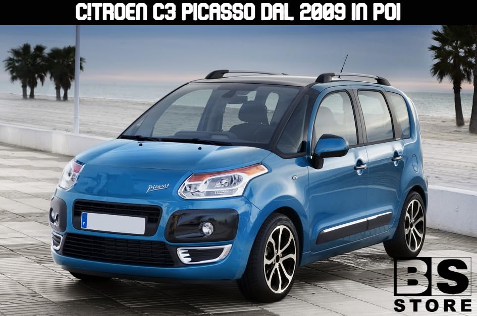 BSSTORE® Piastra Vetro Specchio Retrovisore Termico Compatibile Con C3 Picasso Dal Modello 2009