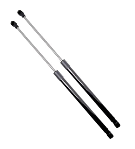 BSSTORE Coppia Molle a Gas Pistoncini Cofano Posteriore per Panda (169) dal 2003 al 2012 | Z00037