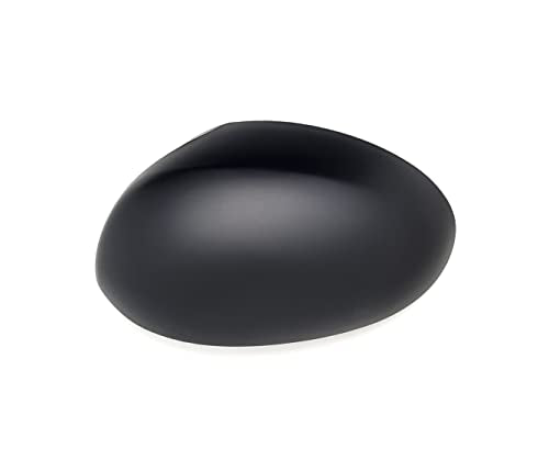 PAN!RICAM801883#DM