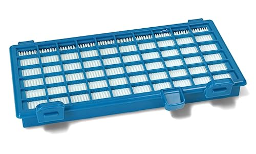 BSSTORE Filtro Hepa Per Aspirapolvere Compatibile Con X-Trem Power Cyclonic Equivalente A RS-RT3931