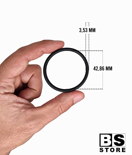 Guarnizione O-Ring 15601070 Compatibile per Macchina del Caffè ESE44 DIDIESSE FROG, Faber, La Piccola, Grimac, Spinel, Union Group - BSSTORE