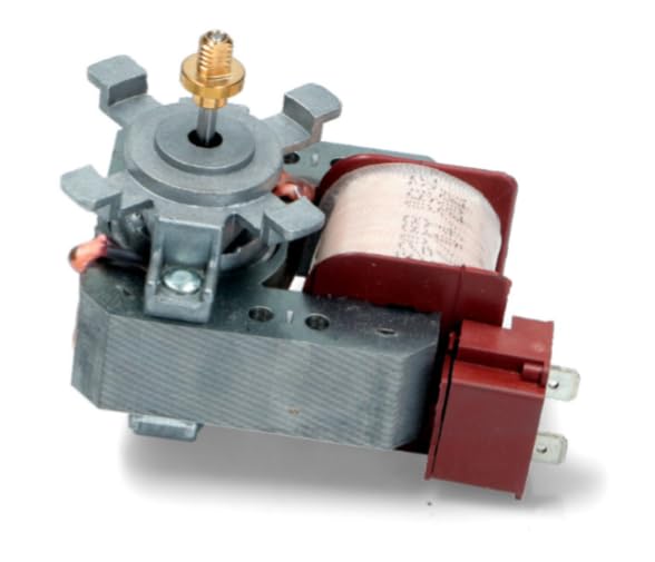 BSSTORE Motore Forno Compatibile Con Vari Modelli Equivalente A 795210954