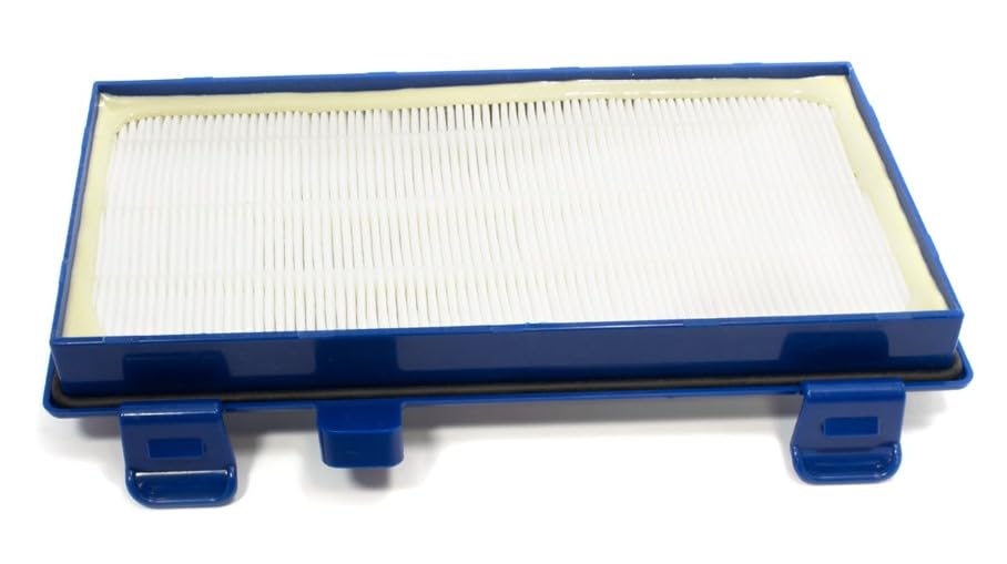 BSSTORE Filtro Hepa Per Aspirapolvere Compatibile Con X-Trem Power Cyclonic Equivalente A RS-RT3931