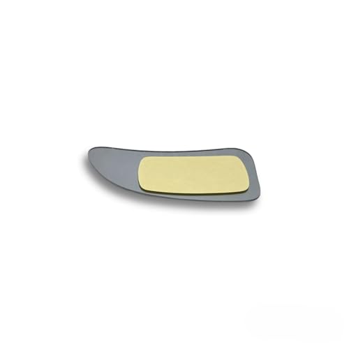 BSSTORE Piastra Vetro Specchio Retrovisore Inferiore Compatibile Con MOVANO | MASTER | NV400