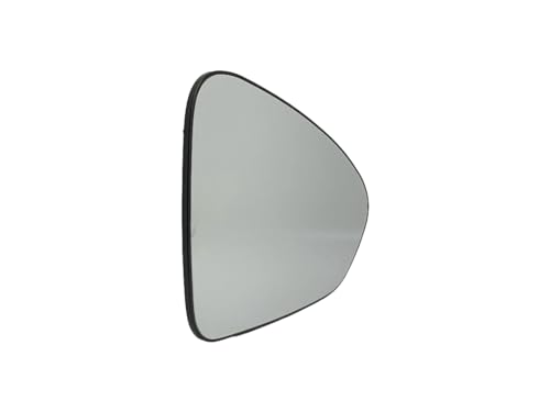 BSSTORE® Piastra Vetro Specchio Retrovisore Termico Compatibile Con Tipo 2015- In Poi