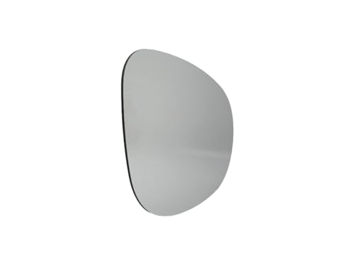BSSTORE® Piastra Vetro Specchio Retrovisore Termico Compatibile Con Ypsilon/Musa/Idea/KA