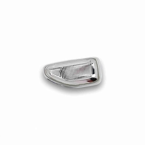 BSSTORE Gruppo Ottico Freccia Laterale Compatibile Con SANDERO | LOGAN