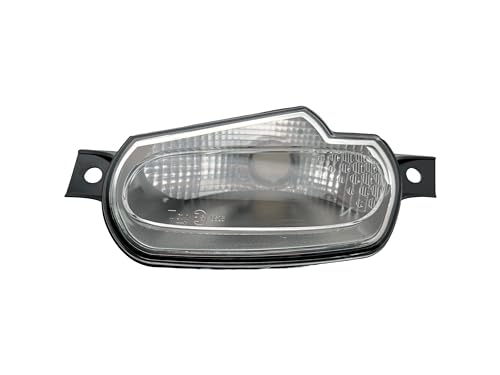 BSSTORE® Gruppo Ottico Freccia Anteriore Compatibile Con Sm4rt ForTwo e ForFour 2014 In Poi