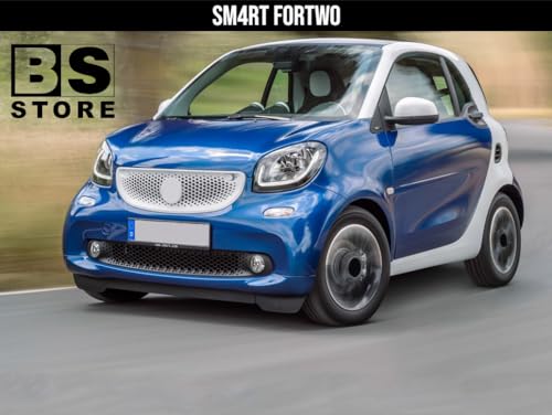 BSSTORE® Piastra Vetro Specchio Retrovisore Compatibile Con ForTwo/ForFour/Twingo 2014 In Poi