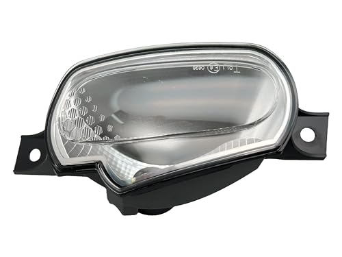 BSSTORE® Gruppo Ottico Freccia Anteriore Compatibile Con Sm4rt ForTwo e ForFour 2014 In Poi