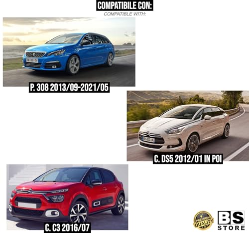 BSSTORE® Maniglia Apriporta Esterna Cromata Compatibile Con C3/C4/DS5/308/508/Zafira