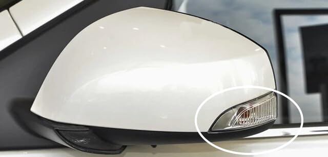 BSSTORE® Freccia Specchietto Laterale Indicatore Di Direzione Compatibile Con Megane 2008-2015/Laguna 2007/Fluence 2010-