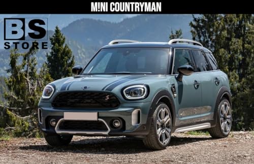 BSSTORE® Piastra Vetro Specchio Retrovisore Termico Compatibile Con Countryman 2016-/Clubman F54 2015-2018