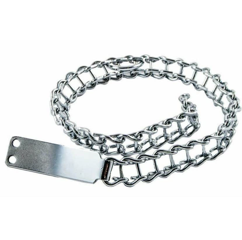 BSSTORE Collare Per Cani A Scaletta In Acciaio Nichelato Tipo Leggero Con Anello E Targhetta Identificativa