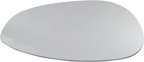 BSSTORE Piastra Vetro Specchio Retrovisore - Compatibile Grande Punto 2005, Grande Punto EVO 2009, Linea 2007, 500 dal 2007 in poi