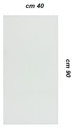 BSSTORE Filtro Universale Per Cappe Aspiranti cm 90x40