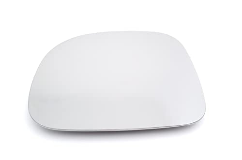 PAN!RICAM00597#DM