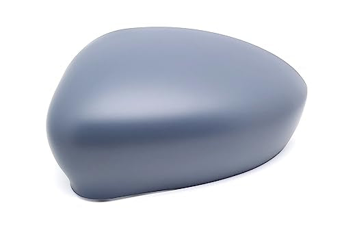 PAN!RICAM89810#DM-GS