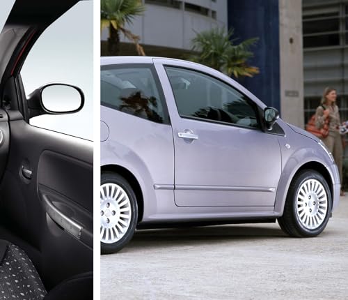 BSSTORE Piastra Vetro Specchio Retrovisore Termico per CTR C2 2003, C3 2002, Picasso 2000 | PGT 1007 '05