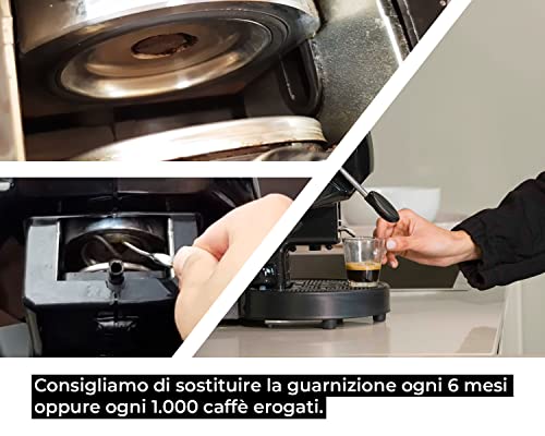 Guarnizione O-Ring 15601070 Compatibile per Macchina del Caffè ESE44 DIDIESSE FROG, Faber, La Piccola, Grimac, Spinel, Union Group - BSSTORE